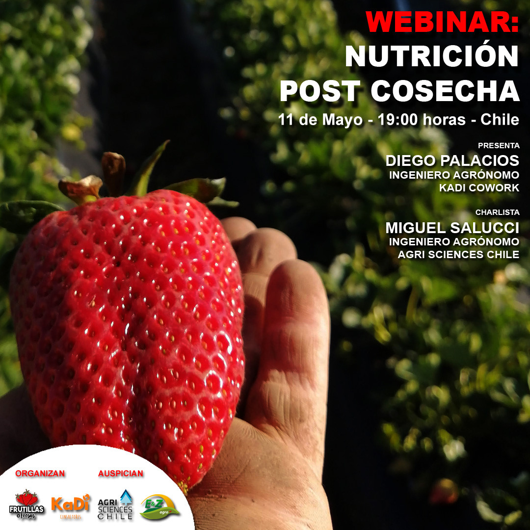 Fusamel Nutrición para Frutillas | Conversemos de Frutilla | AgriSciences