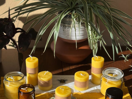 Creating BreezyBeez: Our Journey