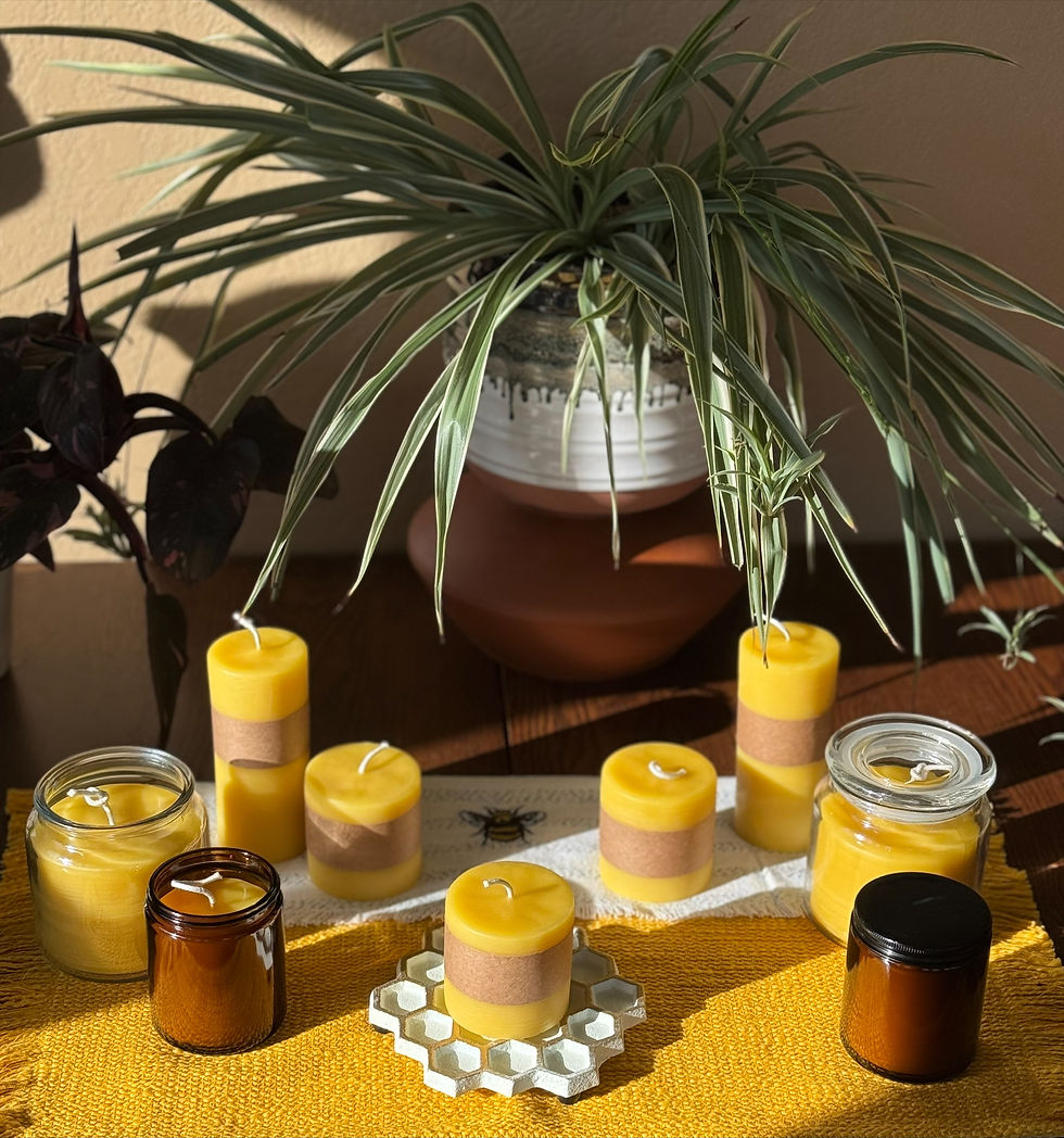 Pure, all natural beeswax candles offered by BreezyBeez