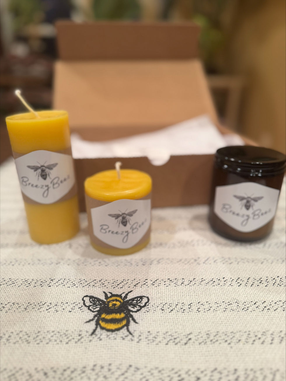 BreezyBeez pure beeswax candles