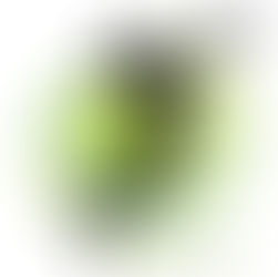 Männerriege / Faustball Hallen - Meisterschaft / Resultate