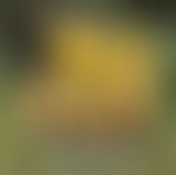 U12 & DU12 / Region 2 - Meisterschaft / 5. Platz