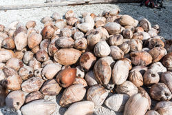 129 - POLYNESIE FRANCAISE - 2016