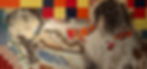 SCC_Tile2B.jpg