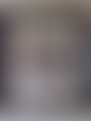 The Sinking of the Mistletoe and the Death of Anne Peel