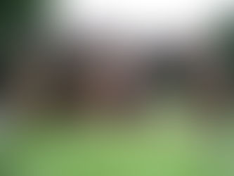 The Middleton Accounts of 1525: #21