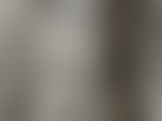 The Middleton Accounts of 1526: #17