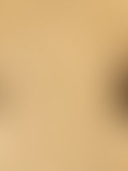 World Bee Day: Willughby's Leaf-cutting Bee (Megachile willughbiella)