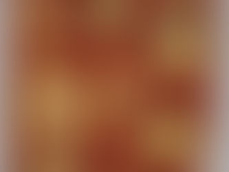 The Middleton Accounts of 1525: #16