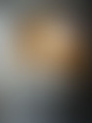 The Middleton Accounts of 1525: #29