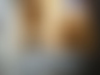 The Middleton Accounts of 1525: #29