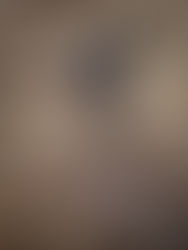 World Eagle Day: The Golden Eagle