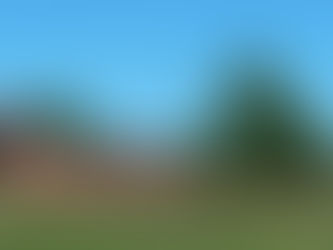 The Middleton Accounts of 1525: #31