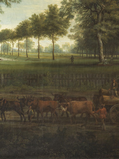 The Timber Industry at Middleton Hall