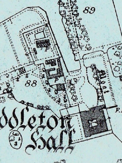 National Tree Week: The Oriental Thujas at Middleton Hall