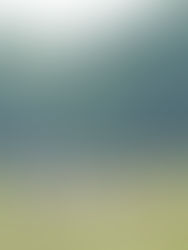 The Middleton Accounts of 1525: #27