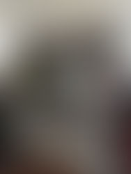 Coventry Lammas Day Rebellion 1525 #5: Letter to King Henry VIII