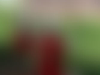 The Middleton Accounts of 1525: #1