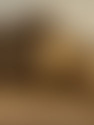 New Photos of Middleton Hall from 1982