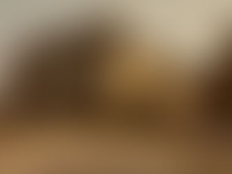 New Photos of Middleton Hall from 1982