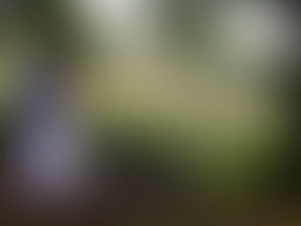 The Middleton Accounts of 1525: #28