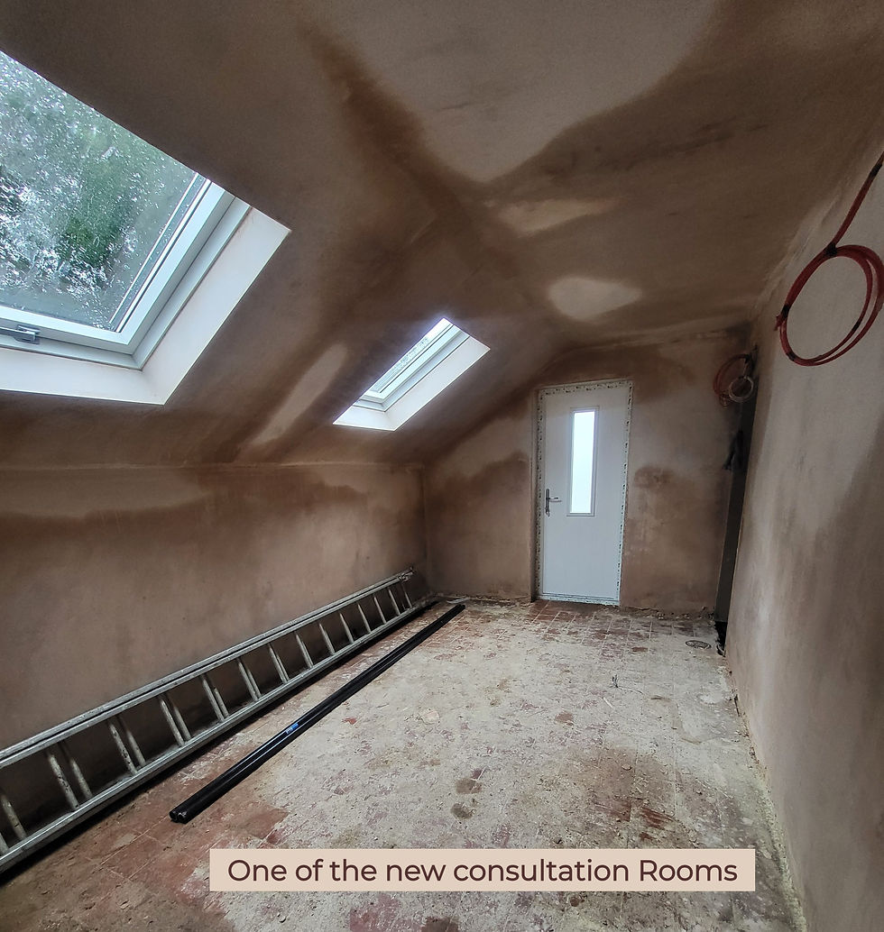 new consultation room with two sloping roof windows and new external door