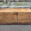 Thumbnail: Early 19th century sycamore sailors box. 