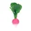Thumbnail: Oli & Carol Ramona the Radish - Natural Baby Teether Oli&Carol