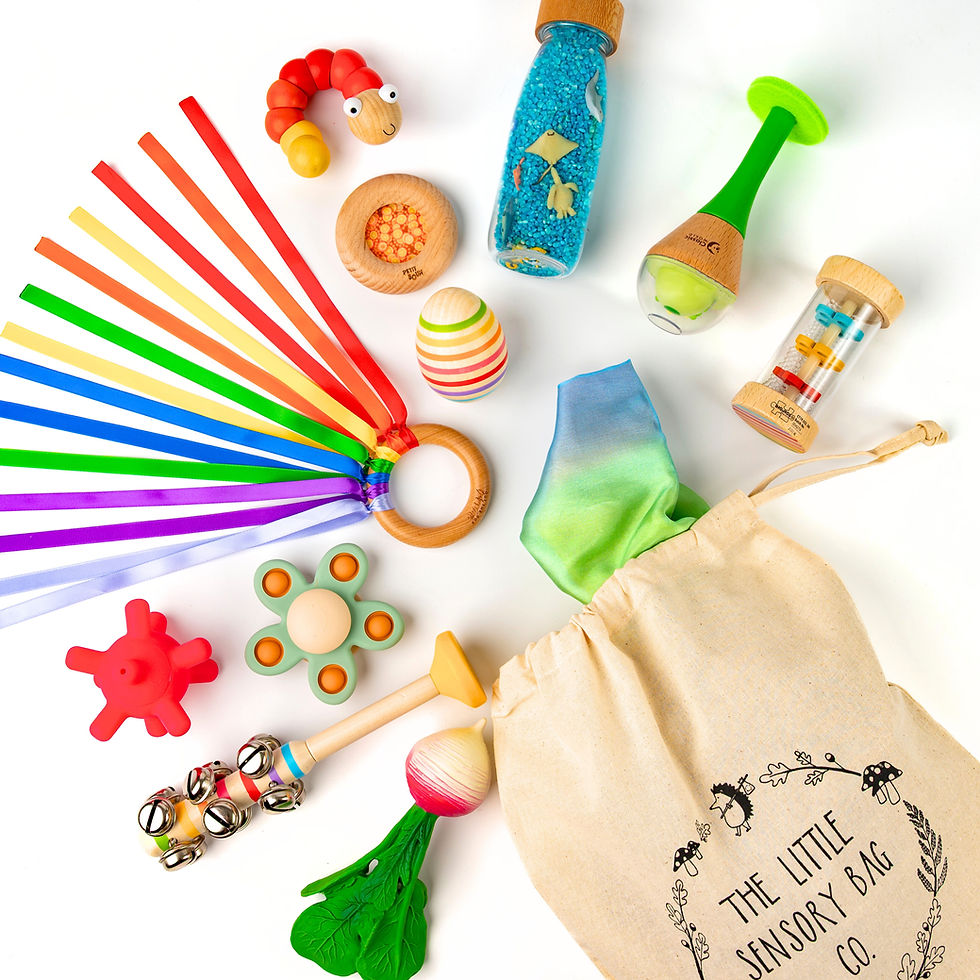 create your own sensory bag set