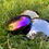 Thumbnail: TickiT Sensory Reflect Sound Buttons- Assorted Colours