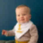 first birthday bib