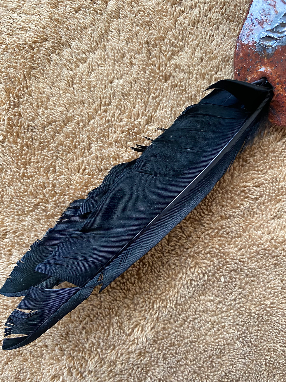 Thumbnail: feathers