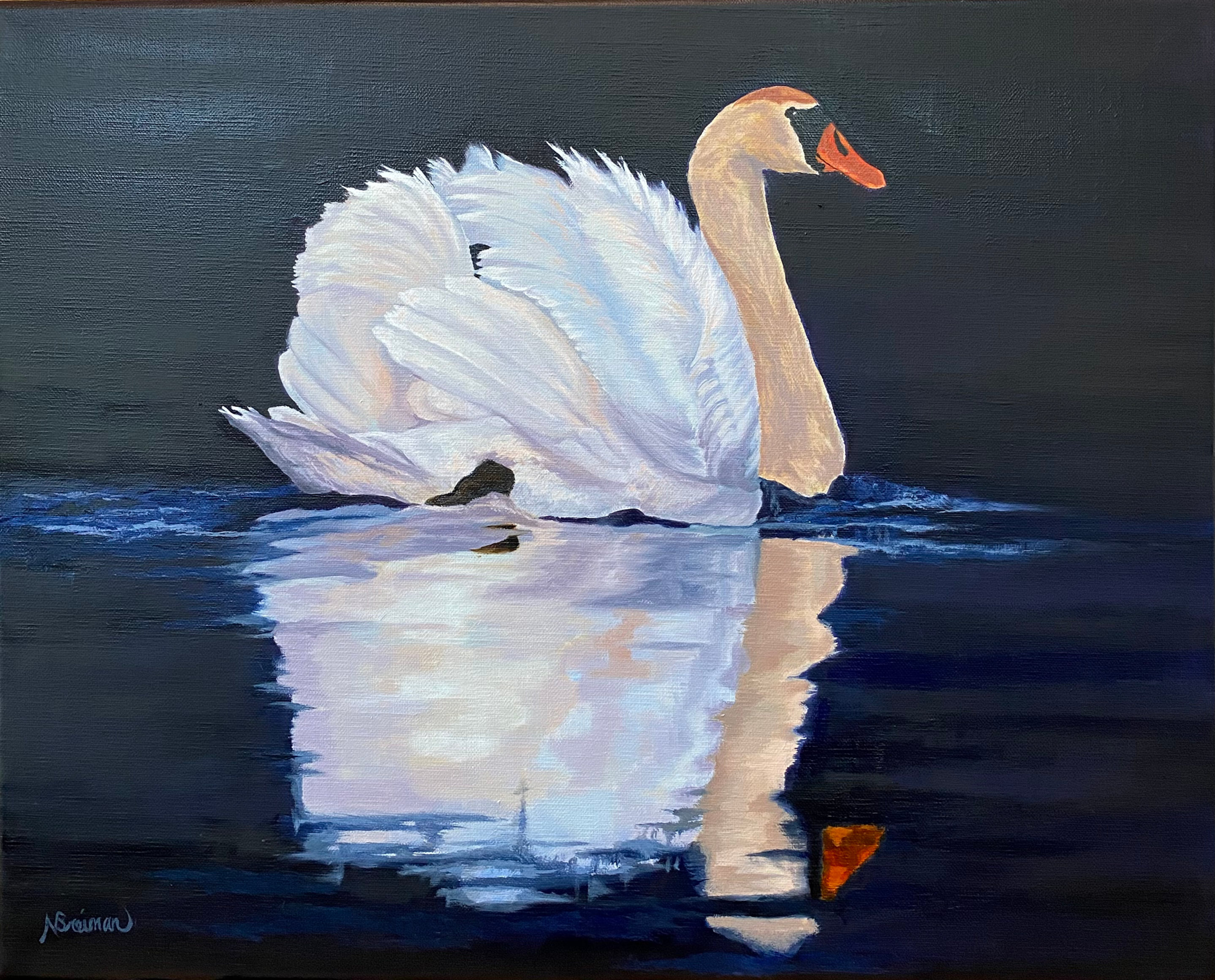 swan, reflection