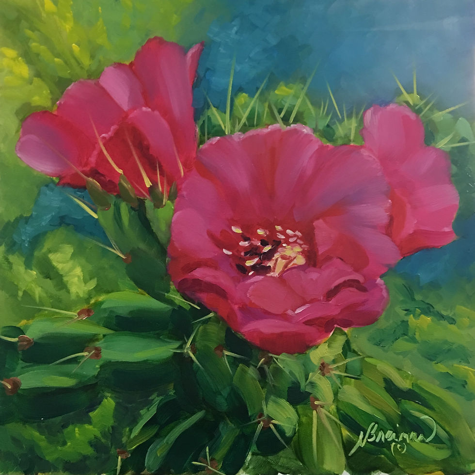 cactus blooms, cactus bloom, pink cactus, pink, southwest floral, southwest flowers,