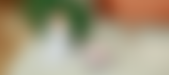 What is Mixed Receptive-Expressive Language Disorder in Children?