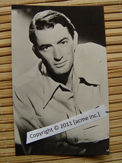 http://www.acme-inc.co.uk/websitepix/DSC050189.JPG