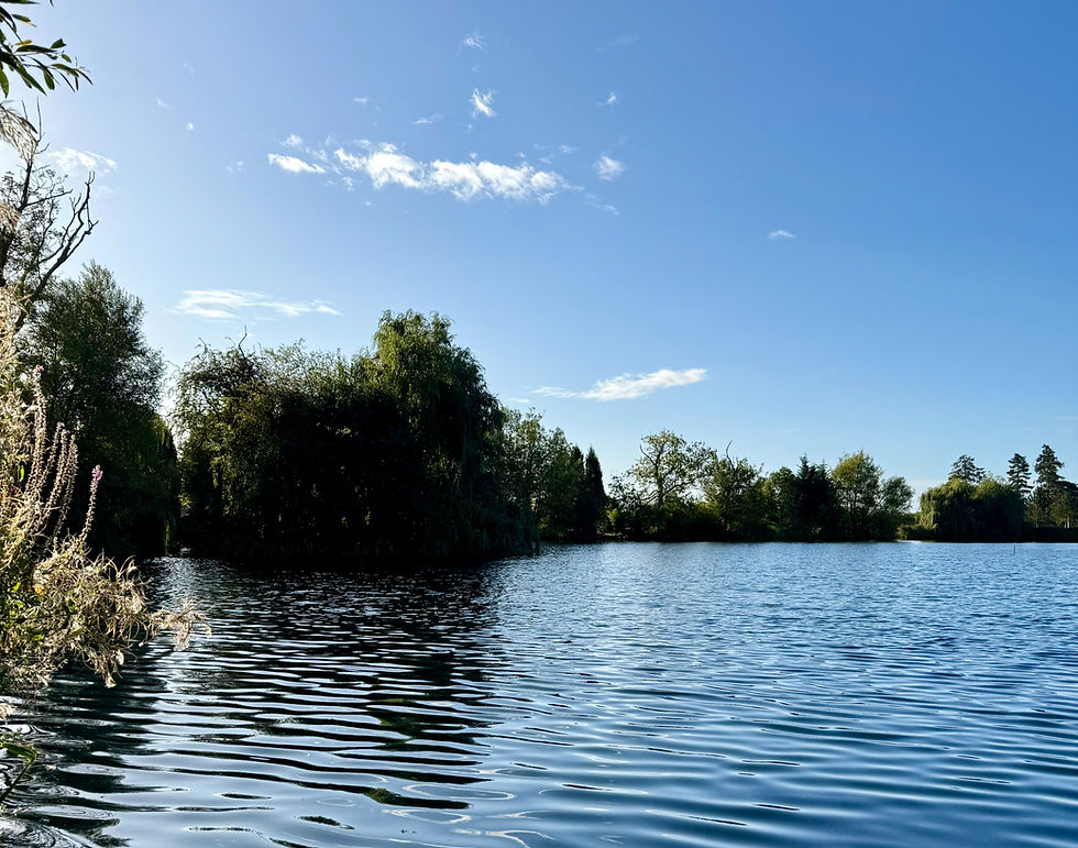 The island on the left hand side of the swim.