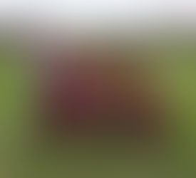 Partidos 30 de junio 2018