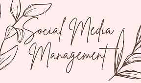 social media strat (5).png