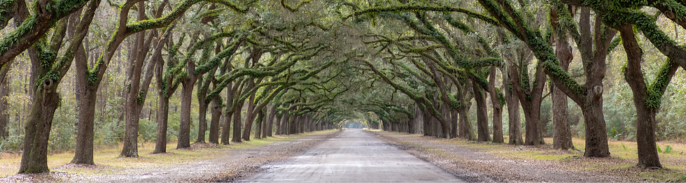 iStock-1300681214_edited.png