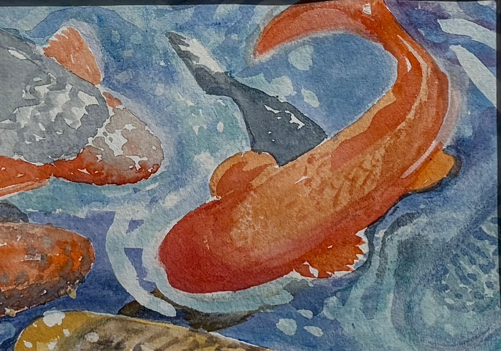 Stephanie Hilton - 2/17-3/30