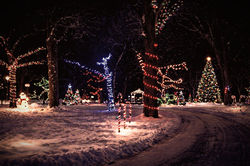 ChatGPT Image Feb 1, 2026, 09_07_53 AM (1)_edited