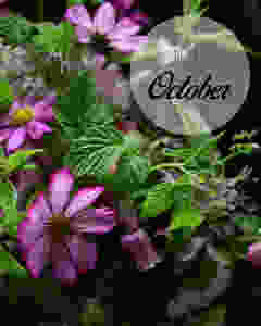 Flower styling 秋桜ブーケ