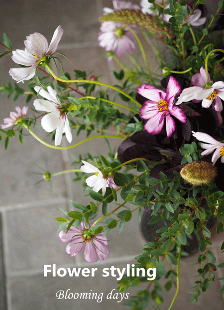 Flower styling 花のある暮し 秋桜
