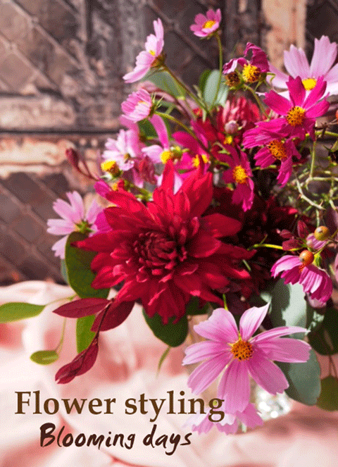 Flower styling 花のある暮し ダリア