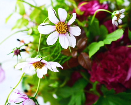 Flower styling 秋色のブーケ