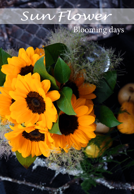 Flower styling 花のある暮し ひまわり