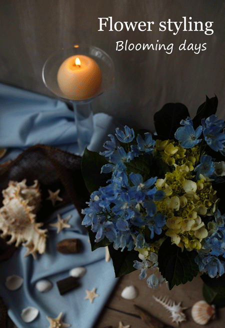 Flower styling 花のある暮し デルフィニウム