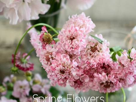 Flower styling 初花月
