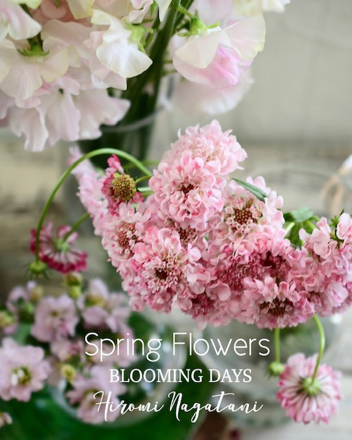 Flower styling 初花月春の花